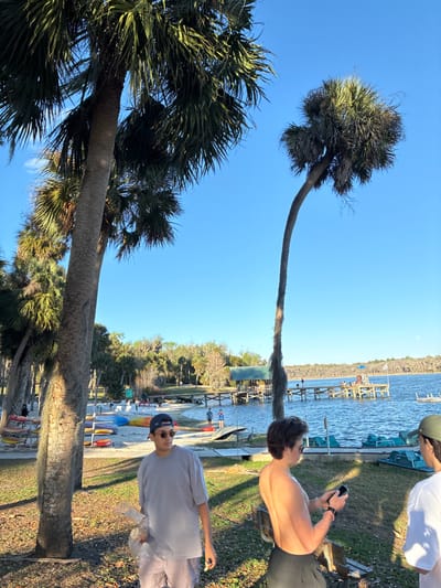 This image captures a sunlit waterfront recreational area near Micanopy, United States, specifically appearing to be Lake Wauburg. In the immediate foreground, three young adult males are visible on a grassy area. The male on the left wears a grey t-shirt, light-colored shorts, sunglasses, and a dark baseball cap, holding a clear plastic bag in his left hand. The central male is shirtless, wearing dark shorts, and is focused on a black smartphone held in both hands. The male on the right, partially visible, wears a white t-shirt and a green baseball cap.

The scene features numerous palm trees, with one particularly tall, slender palm on the right exhibiting a distinct curve in its trunk. Beyond the foreground, a sandy beach transitions to a body of water. On the beach, various colorful kayaks or paddleboards are arranged. Multiple wooden docks extend into the water; one features a small structure with a green roof, and another further out has an elevated platform. Several blue and green pedal boats are visible on the water near the docks. Additional individuals are dispersed on the beach and docks in the midground, engaged in leisure activities. The background consists of a tree-lined distant shore beneath a clear, bright blue sky.