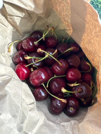 A high-angle close-up shot captures a bounty of dark red cherries nestled inside a brown paper bag, likely outdoors in a location such as Gütersloh, Germany. The bag, made of textured, crinkled paper, forms a natural vessel for the fruit.
The cherries themselves are plump and glossy, reflecting bright natural light, which suggests a clear, possibly sunny, daytime. Their color ranges from deep burgundy to a brighter, vibrant red on some individual fruits. Many of the cherries still have their slender, greenish-brown stems attached, often appearing in clusters of two or more, indicating their freshness.
The composition looks down into the bag, with the cherries filling the majority of the frame, spilling out slightly towards the bottom and sides. A hint of green foliage is visible as a soft blur in the upper left background, peeking from behind the paper bag's rim, further suggesting an outdoor setting. No people or visible text are present in the image. The scene evokes a sense of fresh produce, perhaps recently picked or purchased.