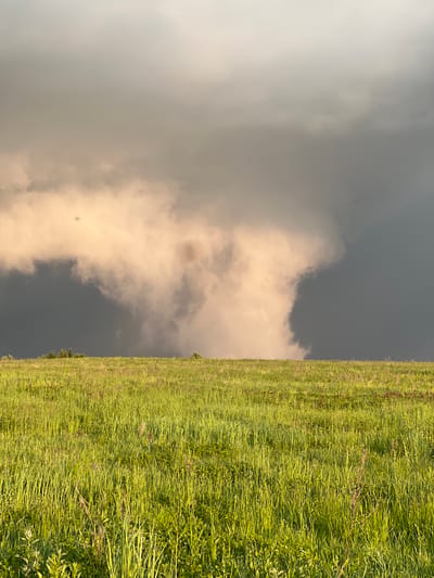 A wide-angle, low-angle shot captures a dramatic storm cloud formation over a vast, green, grassy field under a partly cloudy sky. The storm cloud is dark and ominous on the right side, transitioning to a lighter, swirling mass of cream and beige on the left, illuminated by sunlight. The field in the foreground is filled with tall, lush green grass, with some smaller plants and occasional reddish-brown stalks interspersed. A few sparse trees are visible along the horizon line on the far left. The image depicts a natural landscape, likely a rural or undeveloped area, with no visible structures or human presence. The scene suggests a powerful atmospheric event occurring in an open, natural environment. There is no information to indicate the location in Krasnoyarsk, Russia.