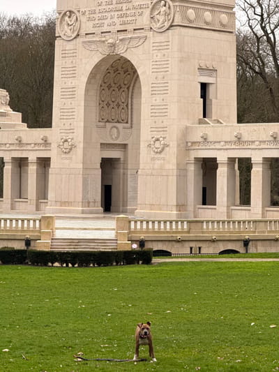 The image displays a monumental stone structure, possibly a memorial or monument. Inscriptions adorn the facade, including phrases like "OF THE ESCADRILLE LA FAYETTE WHO DIED IN DEFENSE OF RIGHT AND LIBERTY," "NIS REIMS SOME HI," "ARRAS O VERDUN O NOY," and "WASHINGTON." Architectural details include archways, carvings, and symbolic elements. A grassy area extends to the right of the structure, and a dog is visible on the lawn.