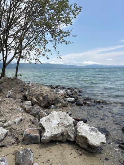 This image depicts a serene, natural scene on the shore of Lake Sevan in Tsamakaberd, Armenia. The foreground is a rocky, sandy embankment littered with large boulders and smaller stones. A few sparse green plants grow amongst the rocks. To the left, the trunk and branches of a mature tree extend into the frame, its leaves providing a touch of green against the blue sky. The middle ground is occupied by the clear, tranquil waters of Lake Sevan, showing the rocky bottom beneath the surface in shallower areas. The far distance is characterized by a hazy, mountainous landscape under a sky filled with scattered white clouds. The overall impression is one of natural beauty and stillness. There are no people or animals visible in the image.
