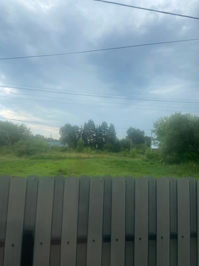 The image captures a view from behind a dark grey metal fence, looking out onto a grassy field and a line of trees under a cloudy sky. In the distance, glimpses of buildings and utility poles are visible amidst the greenery. The scene appears to be located in a rural or suburban setting, possibly in the village of Shkilevka, Russia, given the presence of natural elements and the style of the fence. The sky is overcast with a soft, diffused light. There are no people or animals visible in the frame.