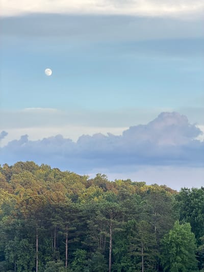 This is a vertical, medium-shot photograph of a forest canopy beneath a cloudy sky with the moon visible. The trees, predominantly deciduous with some evergreens, are densely packed and cover the lower two-thirds of the frame, forming a rolling hillside. The foliage is a mix of dark green and lighter, yellowish-green tones, suggesting late afternoon or early evening light. In the upper third of the image, a pale blue sky transitions into lighter shades towards the top. Wispy, light-colored clouds stretch across the top of the frame, while larger, softer, and slightly darker grey-blue clouds are layered below them, obscuring parts of the sky. A small, bright full moon is positioned in the upper left quadrant of the sky. The scene appears to be a natural landscape, likely in a rural or suburban area with significant tree cover. The image does not contain any people, actions, or interactions. The specific location in Sugar Hill, United States, cannot be determined from the visual information alone.