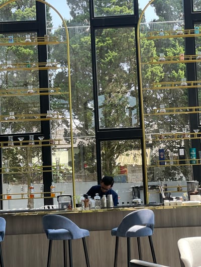 This image depicts a modern bar or cafe interior in Kayuambon, Indonesia, viewed during daylight hours. A single male bartender, wearing glasses and a dark blue shirt, is positioned behind a reflective bar counter, focused on preparing beverages or ingredients. His hands are out of view, and his posture suggests a concentrated effort.

The bar features a light-colored counter top with a polished gold-toned trim, fronted by a wooden paneling. On the counter, various bar tools and supplies are visible: stainless steel shakers, multiple glass jars with contents (including clear liquids and possibly spices), several bottles of orange-colored syrup, a dark cylindrical coffee grinder, small white ceramic plates, an ice bucket, and various empty glassware.

In the foreground, two light-blue/grey upholstered bar stools with curved backs and slender black legs are positioned in front of the counter.

The background is dominated by a large window facade, divided by black frames and decorative gold-colored metal arches and horizontal shelving. Outside the windows, dense green evergreen trees are the primary view, suggesting a lush, possibly elevated, natural setting. Distant residential or commercial buildings with light walls and dark roofs are partially visible through the trees. The gold shelving unit mounted across the windows displays various decorative items: small glass beakers or vials containing granular substances (possibly coffee beans or nuts), small bottles, and boxed items, including identifiable whiskey bottles such as Glenfiddich, Mortlach, and Singleton. The scene is brightly lit by natural light entering through the extensive windows.