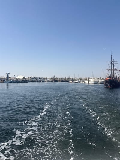 An eye-level, medium shot captures a bright, sunny day at the port of Houmt Souk, Tunisia. The scene is dominated by a clear, light blue sky above and a dark blue, choppy sea in the foreground, marked by white foam trails from a moving boat.
The port itself is lined with numerous docked boats of varying sizes, including small fishing vessels, larger yachts, and a distinctive, dark-colored, pirate-themed ship with red accents and multiple masts on the right side of the frame. The ship has Arabic writing on its hull. Several people are visible on the deck of this pirate ship.
Behind the docked boats, a strip of buildings with white facades and distinctive architecture forms the coastline. Palm trees are scattered amongst the structures. A large, white domed building is visible in the middle distance, as well as a tall, industrial-looking structure with lights near the left edge of the frame. A single bird is seen flying in the sky. The overall impression is a bustling maritime scene under a serene sky.
