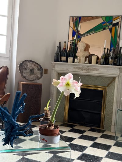 This image depicts an interior residential space, specifically a room located in Mauléon-d'Armagnac, France. The scene is brightly illuminated by natural light entering from a tall, white-framed window visible on the far left.
In the foreground, a prominent potted Amaryllis flower with large, light pink and white petals and a green stem is centered. It rests in a brown terracotta pot, which is placed inside a white enamel bowl adorned with red cherry decals. This assembly sits on a clear glass coffee table. To the left of the Amaryllis, also on the glass table, is a vibrant blue, gnarled wooden decorative object, resembling a piece of driftwood. A second, smaller potted plant with a visible bulb is partially visible behind the Amaryllis.
The middle ground is dominated by a classic white marble fireplace with ornate carved detailing on the mantelpiece. The fireplace opening is recessed, appearing black, and framed by a prominent gold border with an intricate patterned inlay. The floor features a black and white checkerboard pattern, suggesting terrazzo or large tiles.
Above the fireplace, a rectangular mirror is mounted, featuring an abstract, geometric border in stained-glass style, incorporating green, blue, orange, and gold segments. The mirror reflects an unseen door and a light-colored ceiling. The mantelpiece itself is adorned with multiple objects: a collection of approximately ten empty champagne bottles, including visible Moët & Chandon and Dom Pérignon brands, arranged on both sides; several cream-colored pillar candles; and a white classical bust sculpture of a person, centrally positioned.
To the left of the fireplace, a dark wooden pedestal supports a large, oval slab of petrified wood, displayed vertically on a clear stand. A portion of a brown leather armchair with visible stitching is seen in the lower left quadrant. The walls are uniformly white. No individuals are present in the scene.