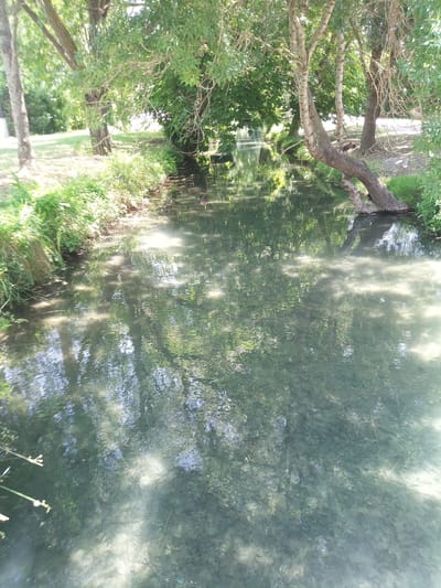 This is a wide shot of a shallow, clear stream in a natural setting. The stream runs from the foreground into the background, flanked by lush green vegetation and trees. Sunlight filters through the leaves, casting dappled shadows on the water's surface and revealing the sandy, pebbly bottom. Reflections of the surrounding trees and sky are visible on the water. On the right bank, a large tree with a leaning trunk reaches out over the water. The overall impression is one of a serene and tranquil natural environment, likely during a sunny day in the warmer months. The location context suggests Banyoles, Spain. There is no visible text in the image.