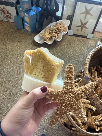 A hand holds a starfish atop a wrapped loofah sponge. The starfish is a brown color. The sponge is a tan color, and it is wrapped in clear plastic wrap. The hand is holding the sponge and starfish over a tan, speckled surface. In the background, there is a basket filled with starfish, framed starfish artwork, a white seashell bowl with starfish inside, and small blue boxes. The photo appears to be taken in a retail store setting. Since the prompt mentions the location, it can be inferred that this retail store is in Key Largo, United States of America.
