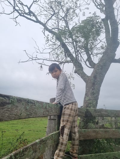 The media file shows a young boy in a striped shirt and plaid pants, looking down at the camera. He appears to be on a wooden structure, possibly a deck or railing, with a large tree to his left. The background is a hazy, overcast sky and a green field. The wooden structure is weathered and covered in moss, suggesting an outdoor, possibly rural, setting. The boy's expression is curious and direct. The lighting is diffused, indicating an overcast day, possibly in the morning or late afternoon. The overall mood is relaxed and natural. No visible text is present in the media file.