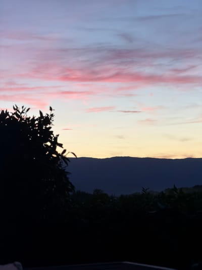 The image depicts a twilight scene over Veigy-Foncenex, France. The sky displays a gradient of colors, transitioning from soft pink clouds near the horizon to pale blue at the top. In the foreground, a silhouette of dense foliage, likely trees and bushes, occupies the left side of the frame. Behind the foliage, a dark, mountainous silhouette is visible against the lighter sky. The overall impression is a natural landscape at dusk.