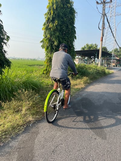A person is riding a bicycle down a paved road, seen from behind. The person is wearing a gray long-sleeved shirt, dark patterned shorts, a black baseball cap, and sandals. The bicycle is white with a bright green fender over the rear wheel. The road has a visible shadow cast by the cyclist and bicycle. To the left of the road is a field of green grass and then a vast rice paddy. To the right of the road, there is a tall, thin tree and further back, a utility pole with electrical wires and a large metal tower. Behind the utility pole, there are several simple structures with roofs, possibly shelters or small buildings. The sky is clear and light blue. The overall impression is a rural or semi-rural setting. The image is taken outdoors in what appears to be a tropical climate, likely in Indonesia.