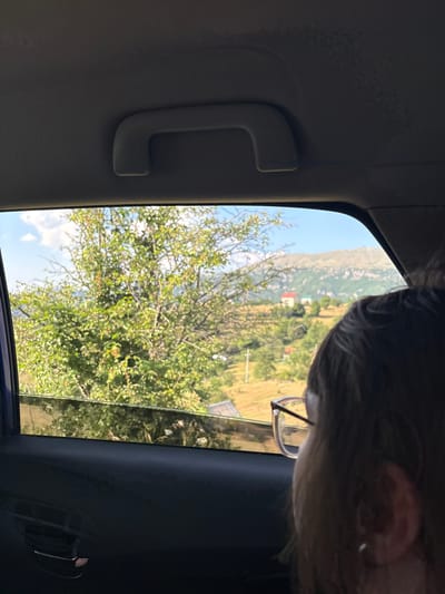 The image is taken from inside a car, looking out the window. The scene outside is a mountainous landscape with scattered houses and trees, under a bright blue sky with some white clouds. The time of day appears to be late morning or early afternoon, given the bright sunlight and shadows.
Inside the car, a person's head and shoulder are visible in the upper right portion of the frame, with their hair and the side of their face. They are wearing glasses. A light gray grab handle is attached to the car's ceiling on the left side of the image. The interior of the car appears to be dark-colored, likely the dashboard or door panel.
The outdoor scene suggests a rural or mountainous region. The presence of trees and vegetation indicates a possibly temperate climate. The houses in the distance appear to be of a traditional style. The overall mood is one of travel and observation, with a sense of pleasant weather. There is no visible text in the image.