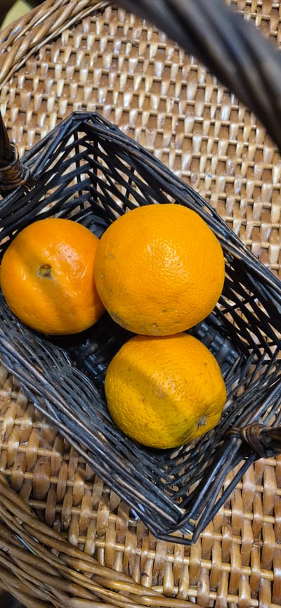 The image shows three oranges in a dark woven basket. The basket is placed on a surface also made of woven material, with a tan color. The oranges are round and orange in color, with some blemishes and textures visible on their skins. One orange is slightly to the left, with another larger orange to its right. A third orange is positioned below these two, slightly to the right. The basket has a square opening and appears to be made of dark, thin reeds or branches. The background is a close-up of the woven texture, showing variations in color and weave pattern. The lighting is overhead, casting some shadows on the oranges and within the basket. There are no people or animals present, and no specific identifiable landmarks of Póvoa de Varzim are visible.