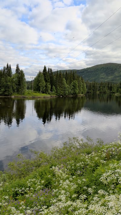 This media file depicts a serene natural landscape in Namsskogan, Norway. The primary subjects are a calm lake reflecting the sky and surrounding trees, a dense forest lining the lake's edge, and a foreground filled with lush green foliage and small white and purple wildflowers. The scene is dominated by natural elements, with no people or animals prominently visible, though a few small dark specks that could be insects are scattered in the sky.
The setting is a tranquil waterside environment, likely during daylight hours. The sky is partly cloudy, with large, fluffy white clouds interspersed with patches of blue. The lighting suggests it could be late afternoon or early evening, given the soft, diffused light. The presence of power lines stretching across the upper part of the image indicates human infrastructure, but it is subtly integrated into the natural scenery. The distant background features a rolling, tree-covered hill or mountain.
Notable details include the almost mirror-like reflection of the trees and sky on the surface of the water, creating a sense of depth and symmetry. The vibrant green of the trees, contrasted with the delicate white and purple wildflowers in the foreground, adds visual interest. The overall mood is peaceful and calm, evoking a sense of natural beauty and quietude. There is no visible text in the image.