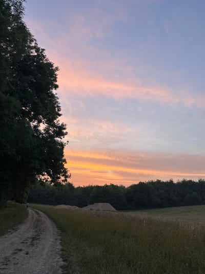 A dirt path curves through a field of tall grass towards a dense line of trees. On the left, the dark green foliage of a large tree overhangs the path. The sky above is a gradient of soft blues, pinks, and oranges, indicative of a sunset or sunrise. A lone figure is visible on the path, walking away from the camera. In the background, beyond the trees, a large mound of earth or sand is present. The overall scene depicts a natural, rural landscape at twilight. There is no information provided about the specific location within Cuxton, United Kingdom, other than it being a possibility.
