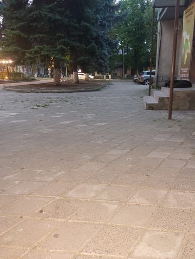 The image captures an outdoor scene in the city of Edineț, Moldova, likely in the evening given the lighting. In the foreground, a paved area composed of square concrete tiles stretches out, with sparse patches of grass growing through some of the cracks. Beyond this, a circular, slightly raised area with a border of stones and dirt is visible, featuring several tall coniferous trees with dark green foliage.
Further in the background, a building with a grey facade and an overhang is present on the right. A dark-colored dog is resting on the concrete steps leading up to this building. A sign with text and a map is attached to the side of the building. Next to the building, there's a parking area with cars. A silver SUV is parked in the mid-ground. On the left side of the image, beyond the trees, there are glimpses of other buildings, streetlights, and a few people walking. The overall impression is a public space or park area adjacent to a building.