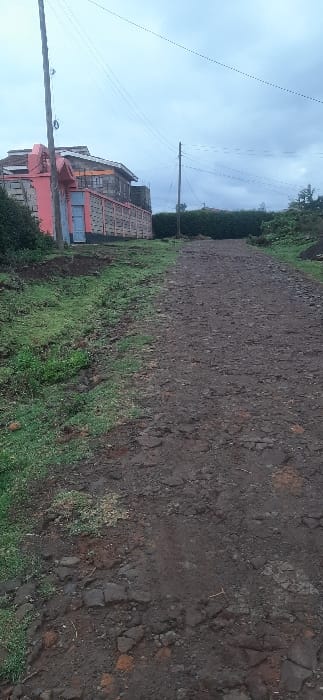 The image displays an outdoor scene, appearing to be an unpaved area in a semi-urban or rural environment, captured on an overcast day. The original image is oriented vertically but depicts a landscape view, which will be described as if correctly oriented (sky at the top, ground at the bottom).
In the foreground, the ground is uneven and composed primarily of reddish-brown dirt and small rocks, resembling a rough path or cleared plot of land. Patches of vibrant green grass are scattered across this terrain, particularly on the left side, indicating natural growth amidst the earth.
Moving into the middle ground, the dirt path continues, leading towards a multi-story building located on the left side of the frame. This building features a distinctive design with a prominent coral or terracotta orange/red lower section and grey upper sections, possibly constructed from concrete blocks. Windows and what appear to be entryways or garage doors are visible on its lower level.
Several utility poles are present. One wooden pole stands partially visible on the far left foreground. Another taller wooden pole is positioned further back, to the right of the building. Numerous power lines or communication cables stretch horizontally across the sky, connecting these poles and disappearing into the distance.
Along what seems to be a property line or boundary behind the dirt area and to the right of the building, a dense line of green vegetation, possibly a hedge or small trees, forms a natural backdrop.
The background is dominated by a uniformly light grey, overcast sky, indicating a cloudy day with soft, diffused light. There are no clear shadows or direct sunlight visible.
The overall scene suggests an area that might be under development or is part of a less-developed region, characterized by unpaved roads, basic utility infrastructure, and a mix of natural elements and man-made structures. No specific activity or individuals are visible in the static scene. No text is discernible within the image.
