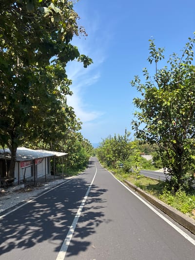 The scene is located in the city of Benoa, Indonesia. A paved asphalt road, marked with a solid white line on its visible right edge, recedes into the distance. Bright sunlight illuminates the scene, casting distinct, dark shadows from overhead trees onto the road surface. To the immediate left of the road, a single-story structure with a corrugated metal roof and closed metal shutters is visible, partially shaded by large, leafy trees. A red banner with white text is affixed to the building's facade. A wooden bench or table is positioned near the structure. The left side of the road is bordered by dense, mature trees with dark green foliage. To the right, a concrete curb separates the road from a vegetated strip featuring grass, smaller trees, and shrubs with lighter green leaves. The sky above is clear and bright blue, displaying minimal scattered clouds. In the far distance, a horizontal band of lighter blue indicates a body of water, presumed to be the sea. No individuals or vehicles are present within the frame.