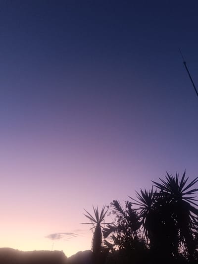 The scene depicts an outdoor twilight landscape in Forest Hills, Spain. The sky presents a distinct gradient, transitioning from a deep indigo-purple at the top to a lighter violet, and finally to a soft pink-orange hue along the horizon line, indicative of either sunrise or sunset. The lower portion of the image is dominated by dark, silhouetted vegetation, specifically dense clusters of spiky, palm-like plants located in the lower right and extending towards the center. A slender, dark pole or antenna is visible on the far right, extending vertically into the upper right sky. On the distant horizon, a faint silhouette of rolling hills or mountains is present in the lower left, with a small, wispy cloud situated above them, adjacent to a barely discernible vertical structure. There are no human subjects or observable actions depicted.