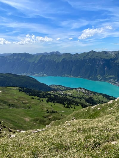 This is a high-angle, eye-level, outdoor photograph of a mountainous landscape in Axalp, Switzerland. In the foreground, a grassy hillside slopes down and to the left. The grass is a mix of green and dried yellow blades, with scattered small purple and yellow wildflowers. A fallen, light-colored log lies horizontally across the grass in the mid-foreground. The mid-ground features a steeply sloped, green meadow dotted with numerous dark green evergreen trees. A small village with scattered buildings and red roofs is nestled on the lower part of this slope. Beyond the village, a vibrant turquoise lake stretches across the frame, with distant dark green mountains rising on the far side. The sky above is a bright blue with scattered white, wispy clouds. No people or animals are visible in the image.