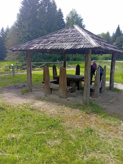 The image depicts a rustic wooden gazebo with a shingled roof, set within a grassy, wooded area. Inside the gazebo, a heavy wooden table is surrounded by equally sturdy wooden benches and individual seats carved from logs. Two individuals, one wearing a purple hoodie and the other a dark jacket, are seen walking away from the camera within the gazebo. The ground around the gazebo is a mix of dirt, gravel, and sparse grass. In the background, a wooden fence with an X-shaped railing runs along a path, with dense trees forming a backdrop. A small pile of charcoal or ash is visible to the left of the gazebo. The overall scene suggests an outdoor recreational or rest stop area, likely in a natural park or rural setting. This location is identified as Svilė, Lithuania.