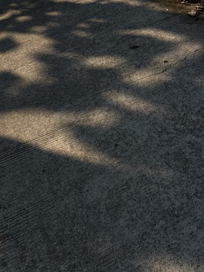 A close-up, angled view shows a textured concrete surface with parallel grooves, likely a sidewalk or pathway. Sunlight casts dappled shadows from unseen foliage across the ground, creating areas of light and dark. A few small debris, possibly leaves or twigs, are visible on the surface. The overall scene is devoid of human presence or activity, focusing solely on the interplay of light and shadow on the urban ground. The location is an unspecified area within the city of Alian, Indonesia.