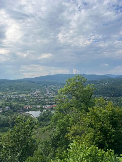 The image captures a panoramic landscape view, taken from a high vantage point overlooking a verdant valley in what appears to be a mountainous region, consistent with Kamianytsia, Ukraine. The sky occupies the upper portion of the frame, filled with soft, scattered clouds ranging from white to light grey, suggesting an overcast yet bright daytime.
In the distance, layers of hazy, blue-green mountains form the horizon, their slopes thickly covered with dense forest. Closer to the foreground, a sprawling town or village is nestled within the valley. Numerous houses, many featuring distinct red or dark-colored roofs, are visible amidst abundant greenery. A road or series of paths winds through the settlement. A prominent body of water, likely a river or a large pond, flows through the valley floor, bordered by buildings and lush banks. One specific crop indicates the presence of a green field, possibly a sports ground, situated near this water feature.
The immediate foreground is dominated by vibrant green foliage from trees, with branches and leaves partially obscuring the lower and side views, suggesting the viewpoint is from a wooded elevation. No specific individuals or activities are discernible within the scene. The overall impression is one of peaceful natural beauty, with human habitation harmoniously integrated into the lush, mountainous landscape. There is no visible text in the image. The time of day appears to be daytime, possibly late morning or early afternoon, with mild weather conditions indicative of late spring or summer.