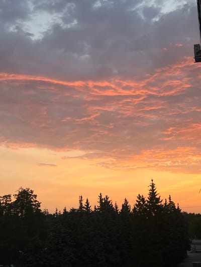 An outdoor, high-angle, vertical shot captures a sunset over Zarechny, Russia. The sky is dominated by a gradient of orange and yellow hues near the horizon, transitioning to pink and purple clouds higher up, with a band of dark grey clouds at the very top. Silhouetted against the vibrant sky is a dense line of dark green coniferous trees, with some taller, more prominent evergreen trees standing out in the foreground. A portion of a light pole and a traffic light fixture is visible in the upper right corner. The scene is devoid of any people or animals.