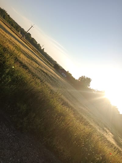 The image shows a rural landscape, possibly in the outskirts of Balakleia, Ukraine, during a sunny day. The scene is dominated by a field of tall, golden grass or wheat, stretching diagonally across the frame from the lower left to the upper right. The sun is bright and positioned in the upper right, casting long shadows and creating lens flare, suggesting it is either sunrise or sunset.
In the mid-ground, a dirt road runs along the bottom edge of the image, bordered by a strip of green vegetation. Further into the field, there are scattered trees and a small, white house with a dark roof. Utility poles with wires are visible along the horizon, indicating a rural infrastructure. The sky is clear and blue, with a faint band of clouds stretching across it. The overall impression is one of a serene, agricultural setting bathed in warm sunlight. There are no people or animals visible in the image.
