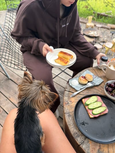 In Манский, Russia, on a wooden deck, two individuals are engaged in an outdoor meal. A person wearing a brown hoodie and matching sweatpants sits on a wire chair, holding a white plate with two cylindrical pastries and a dollop of white cream. In front of them, on a round, wooden table, are several food items: a small grey plate with two round, golden pastries topped with red jam and a dollop of white cream, a black plate with a sandwich topped with ham and three cucumber slices, a bowl of dark cherries, a cream-colored mug, and a salt shaker. A small Yorkshire Terrier sits on the lap of the person in the foreground, facing away from the camera. The background suggests a rustic outdoor setting with greenery and hints of other seating and a fire pit.
