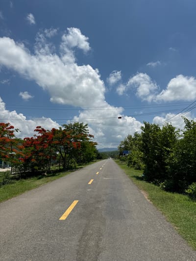 A straight, paved road extends into the distance under a bright blue sky with scattered white cumulus clouds. Yellow lines mark the lanes of the road. Lush green trees and vegetation line both sides of the road, with a vibrant tree bearing bright red flowers on the left. In the distance, a hazy mountain range is visible. Power lines crisscross the sky overhead. The scene appears to be a rural or suburban setting in Ham Thuan Bac, Vietnam, given the presence of tropical flora and the style of the road and surrounding environment. There are no people or animals clearly visible in the immediate foreground.