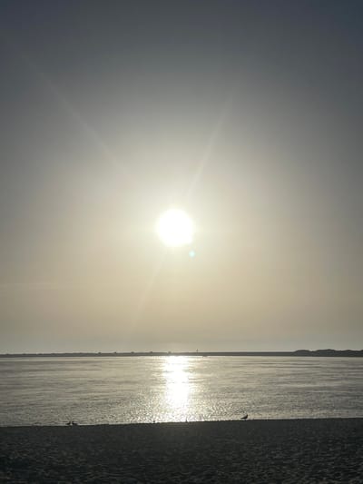 The image depicts a wide, calm body of water, possibly an estuary or bay, with the sun positioned high in the sky, creating a strong lens flare. The sun's glare is reflected intensely on the water's surface, creating a shimmering effect. In the foreground, a sandy beach stretches across the bottom of the frame. Two seagulls are visible on the beach near the water's edge. In the distance, a dark, elongated structure, likely a breakwater or pier, runs horizontally across the horizon. Small structures or buildings are sparsely distributed along this distant feature. The sky is a hazy grey-blue, transitioning to a lighter tone near the sun. The scene appears to be a coastal landscape within Gafanha da Nazaré, Portugal, capturing a moment of diffused sunlight over the water and beach.