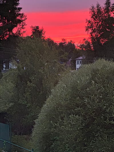 This image depicts a sunset scene with a vibrant red and pink sky over a wooded area. In the foreground, lush green foliage from trees dominates the lower portion of the frame, partially obscuring a green metal fence on the left. In the middle ground, several trees of varying sizes are visible, interspersed with power lines. Behind the trees, a white building with a dark roof and two distinct windows can be seen. The background is dominated by the gradient sky, transitioning from a deep red at the horizon to a lighter pink and purple hue higher up. The overall setting appears to be a rural or suburban area, likely a dacha or garden community, given the presence of the fence and the type of vegetation. The location is specified as Ленгипротранс Снт, Russia, suggesting a settlement or horticultural cooperative. There are no people visible in the image.