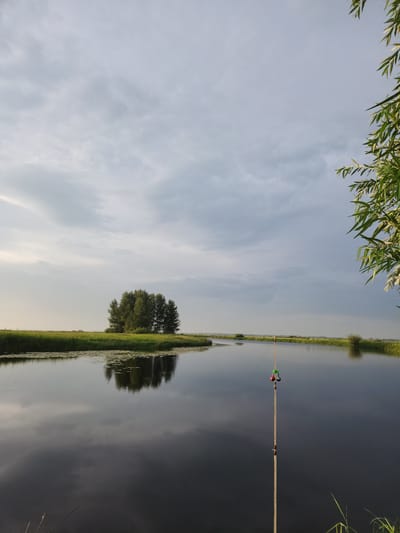 A serene, wide river flows under a cloudy sky. On the left bank, lush green reeds and grass line the water's edge, with a small cluster of trees in the distance creating a dark reflection on the calm surface. In the foreground, a fishing rod stands upright in the water, its tip adorned with two colorful floats, one red and one green. The river extends towards the horizon, where it meets a hazy, flat landscape under the diffused light of the overcast sky. A few leafy branches of a tree are visible in the upper right corner, adding a touch of nature's detail to the expansive scene. The location is Atameken, Kazakhstan.