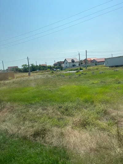 The image depicts a rural or suburban landscape in Movilița, Romania, under a clear blue sky. The foreground is dominated by a field of tall, green grass interspersed with dry, golden stalks. In the middle ground, a cluster of residential houses with red-tiled roofs are visible. One house is white with a dark grey roof and dark windows. Another is a lighter color with a red roof. There are also power lines and utility poles running across the scene. To the far right, a white trailer or storage container is parked. The background consists of more houses and trees, suggesting a settled area. There are no people or animals visible in the frame. The overall impression is a sunny day in a developing or established residential area.