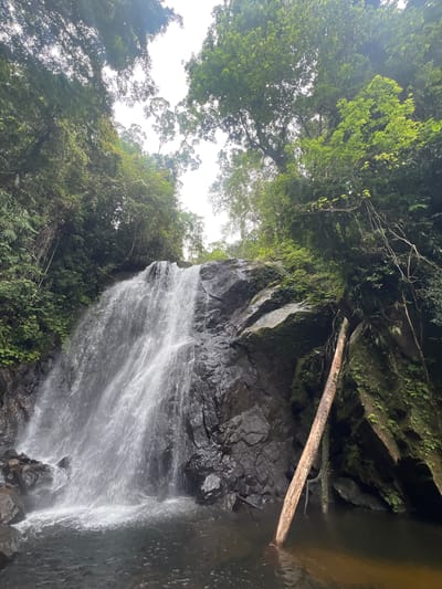 The image depicts a waterfall in the Lankagama region of Sri Lanka. The waterfall cascades down a dark, rocky cliff face covered in moss and vegetation. Lush green trees and foliage surround the waterfall, with branches and vines hanging down towards the water. Sunlight filters through the dense canopy, creating dappled light on the scene. In the foreground, the water collects in a dark pool at the base of the waterfall, with a fallen tree trunk submerged in the water to the right of the frame. The water appears clear and reflects the surrounding greenery. The overall impression is one of a serene and secluded natural landscape.