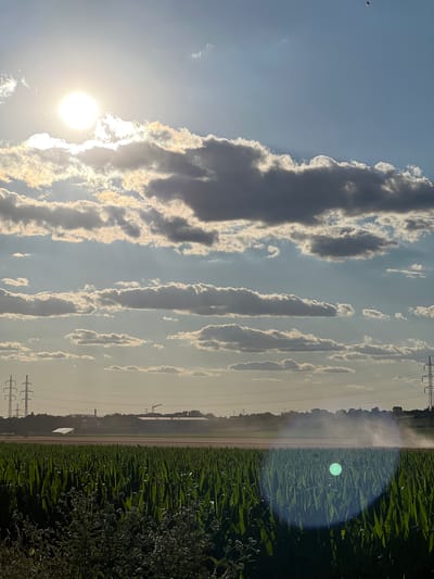 The image depicts a rural landscape scene, likely in the vicinity of Újezd u Brna, Czechia, during daylight. The foreground is dominated by a dense field of tall green cornstalks, with some smaller plants and weeds visible at the very bottom. In the mid-ground, a dirt path runs horizontally, and a piece of agricultural machinery, possibly a combine harvester, is actively working, kicking up a significant amount of dust or spray. The background features a line of trees and buildings, including what appears to be industrial structures and a crane. Tall power pylons with electrical wires are visible on both the left and right sides of the frame, extending towards the horizon. The sky is partially filled with dramatic clouds, illuminated by a bright, hazy sun located in the upper left quadrant. The overall lighting suggests it is either late morning or late afternoon, with the sun's rays creating a bright glare and highlighting the atmospheric haze.
