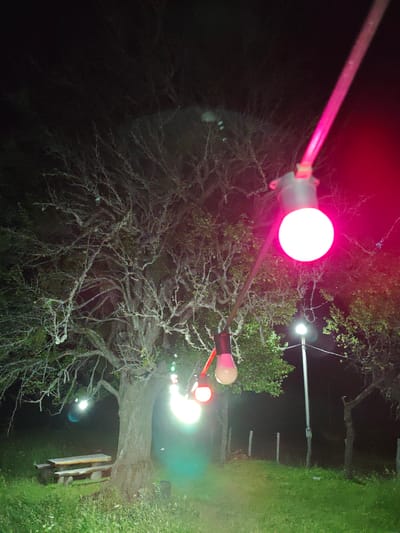 The image depicts an outdoor scene at night, illuminated by string lights. A large, bare-branched tree dominates the left side of the frame, with its gnarled limbs extending upwards. In the foreground, a string of lights with red and white bulbs is visible, with one bulb prominently lit in white and casting a bright glow. To the left of the tree, a wooden picnic table with benches is situated on a grassy area. In the background, a lamppost with a lit bulb stands near a fence made of wooden posts. The overall setting appears to be rural or park-like, with grass and trees, possibly in the city of Ukeshi, Georgia, although this cannot be definitively confirmed from the image alone. No people are visible in the image.