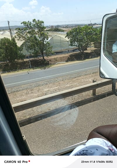 The image presents a daytime exterior view from within a vehicle, capturing a landscape in Viwandani ward, Kenya. In the lower right foreground, a dark-skinned individual's knee and upper thigh, clad in white patterned shorts, are visible. A portion of a white side mirror, reflecting a light blue shirt, occupies the far right mid-frame. The scene outside the vehicle features a two-lane asphalt road with a solid white center line and a broken white shoulder line. A metal crash barrier runs parallel to the road, positioned above the visible asphalt. Beyond the road, an elevated, dry earth embankment supports several prominent, large, white, translucent tunnel-shaped greenhouses, indicating agricultural activity. Multiple green-leafed trees are interspersed among these structures. The background displays distant hills and urban development under a clear blue sky with scattered white clouds.