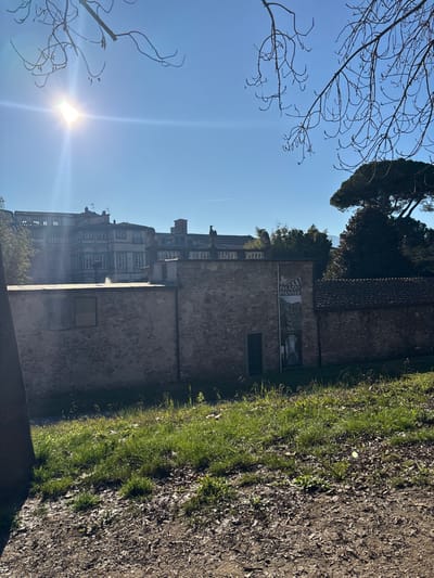 The image depicts an outdoor scene in Lucca, Italy, specifically showing structures associated with Palazzo Pfanner, viewed from an elevated position, likely the city walls.

The scene is captured on a sunny day under a clear blue sky, with the sun positioned in the upper left quadrant, creating a prominent lens flare. Bare tree branches with visible buds partially frame the top of the image. The immediate foreground consists of a dirt path covered with scattered dry leaves, transitioning into a sloped area of green grass mixed with more dirt and leaves. A dark, thick tree trunk is partially visible on the far left.

In the mid-ground, a low, single-story stone building with a rustic texture extends horizontally. It features two closed-shutter windows on its left side and a dark rectangular doorway on the right. A vertical banner is affixed to the wall near the doorway, displaying "PALAZZO PFANNER" at the top and an image of an interior archway. To the right of this building, a stone wall topped with terracotta roof tiles is visible.

The background reveals several multi-story buildings with traditional Italian architecture, featuring light-colored facades, multiple windows, and tiled roofs. A dark, bird-like sculpture, possibly an eagle, rests on a prominent wall or rooftop in front of these buildings. Behind these structures, a dense arrangement of mature trees with dark green foliage is present, including a distinctive umbrella pine on the far right. Distant hills or mountains are faintly discernible on the horizon to the right. No human figures are visible in the scene.