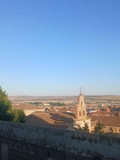The image captures a panoramic view of the city of Ávila, Spain, from an elevated vantage point. In the foreground, a weathered stone wall with visible brickwork runs horizontally across the bottom, partially obscuring the lower portion of the scene. Beyond the wall, terracotta tiled rooftops dominate the mid-ground, showcasing the characteristic architecture of the city. A prominent brick bell tower, part of a church, stands out with its arched openings and a weather vane at its apex. Several trees with green foliage are scattered amongst the buildings. The background reveals a sprawling urban landscape with more rooftops and buildings, receding into a hazy horizon of undulating, dry hills under a clear, pale blue sky. The sun, low in the sky, casts long shadows and illuminates the scene with a warm, golden light, suggesting either early morning or late afternoon. The sky is largely devoid of clouds, with a few small, dark specks that appear to be birds in flight. A faint, pale disc, likely the moon, is visible in the upper left quadrant of the sky.