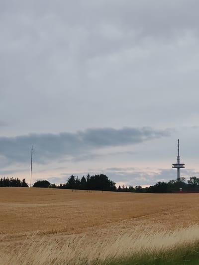 The image depicts a rural landscape under a cloudy sky, possibly during twilight, in Kasseedorf, Germany. In the foreground, a field of golden wheat stretches towards the horizon, with tall, dry grasses at the very bottom right corner. In the middle ground, a line of dark green trees forms a backdrop to the wheat field. Two communication towers are visible in the distance. The tower on the left is tall and slender, while the tower on the right is shorter, wider, and features a platform near its top. The sky is overcast with shades of gray and pale blue, suggesting an approaching or receding storm. No people or animals are present in the image.