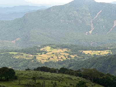 The image depicts a mountainous landscape in Illukkumbura, Sri Lanka. The foreground features a grassy hillside with sparse trees and shrubs. In the mid-ground, a valley contains patches of agricultural fields, likely rice paddies, interspersed with trees. A few structures, possibly houses or farm buildings, are visible near the fields. The background is dominated by a large, green mountain covered in dense forest. Streaks of exposed soil or rock are visible on the mountainside. Distant, hazy mountain ranges fade into the horizon. The overall scene suggests a rural and agricultural setting within a mountainous region.