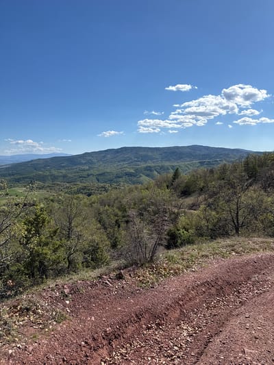 The image depicts a mountainous landscape under a bright blue sky with scattered white cumulus clouds. A dirt road, characterized by red soil and loose rocks, occupies the foreground, transitioning into a forested area. The trees are predominantly green, indicating a lush environment. In the background, a mountain range stretches across the horizon. The image is shot from a high vantage point, providing a panoramic view of the landscape. Based on the prompt, the location is Tsarvishte, Bulgaria.