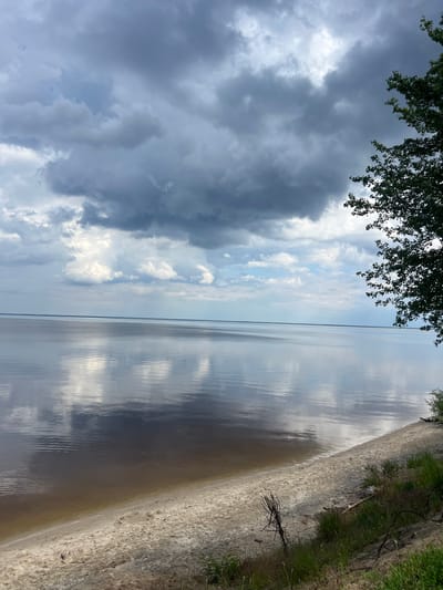 The image depicts a serene natural landscape near Lyutizh, Ukraine, characterized by a wide, calm body of water under a dramatic, cloudy sky. The water, appearing to be a lake or river, reflects the overcast sky, creating a shimmering, slightly distorted mirror of the clouds. The shoreline is a sandy beach, with some sparse vegetation growing along the embankment. A tree branch with green leaves is visible in the upper right corner of the frame, providing a contrast to the expansive sky and water. The overall atmosphere is peaceful and somewhat moody due to the heavy cloud cover.