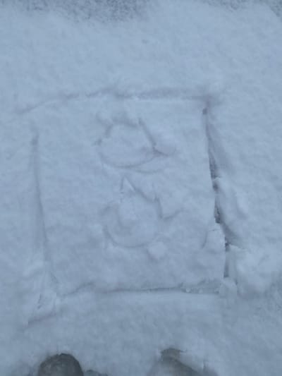 The image displays a snow-covered ground in Gallakor, Uzbekistan. A rectangular depression, approximately 30x35cm, is imprinted into the snow, delineating a specific area. Within this rectangle, two rudimentary figures are visible, created by pressing into the snow. The upper figure consists of two stacked ovoid depressions, with two smaller, ear-like or arm-like protrusions extending laterally from the upper ovoid. The lower figure mirrors this construction, also comprising two stacked ovoid depressions with similar lateral protrusions. The snow appears fresh and uniformly white, with minimal other disturbances. A partial impression of a shoe or boot is visible in the snow at the bottom edge of the frame.