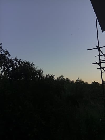 The image captures a twilight sky with a gradient from deep blue at the top to a pale yellow near the horizon. Silhouetted against the sky are the dark shapes of trees and foliage forming a dense treeline across the lower half of the frame. To the right, a scaffolding structure is visible, its dark metal poles and crossbars stark against the lighter sky. A small, dark bird is seen in flight in the upper portion of the sky. The overall scene suggests an outdoor environment, possibly on the outskirts of a populated area given the presence of both natural elements and construction equipment. The location is identified as Aidemir, Bulgaria.