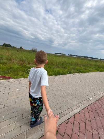 A young boy, viewed from behind, walks on a brick pathway, holding hands with an unseen person. The boy wears a light blue t-shirt and black pants adorned with a colorful cartoon pattern. He has short brown hair and is wearing dark blue Crocs with a charm. To the left of the pathway is a grassy slope dotted with small white flowers, and further back, a line of trees and a body of water. The sky above is cloudy and overcast. The location is likely Breytovo, Russia, given the context.
