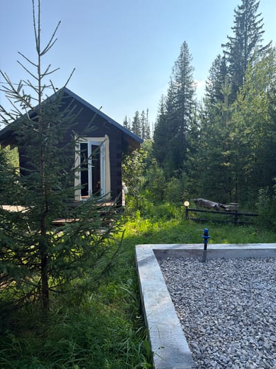 An exterior shot shows a dark wooden cabin in a densely forested area, likely in Kuliki, Russia. The cabin has a wide, open doorway with glass doors and a small wooden porch. In the foreground, a young evergreen tree stands to the left, and a concrete-edged gravel bed with a blue pipe fitting is visible to the right. In the background, tall evergreen trees dominate the landscape, with a clear blue sky overhead. A wooden fence with a covered object and a round light fixture is visible in the middle ground. The scene is lit by natural sunlight.