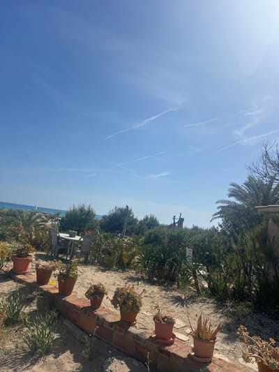 The image captures a coastal scene in La Marina De Creixell, Spain. A clear blue sky with faint contrails provides the backdrop. Vegetation, including palm trees and various shrubs, lines the edge of a sandy path. Terracotta pots containing plants are arranged along a brick wall or structure. In the distance, a white table and chairs are visible near the coastline. A sailboat is discernible on the water.
